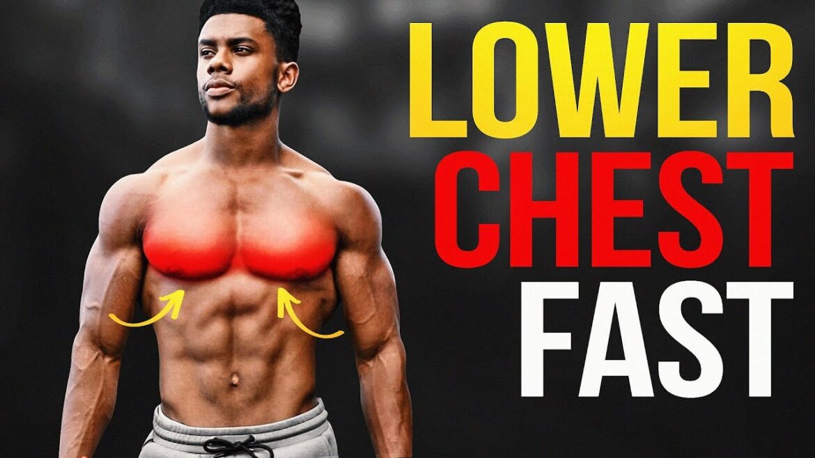 The 4 BEST Lower Chest Exercises (NO WEIGHTS NEEDED!) - YouTube